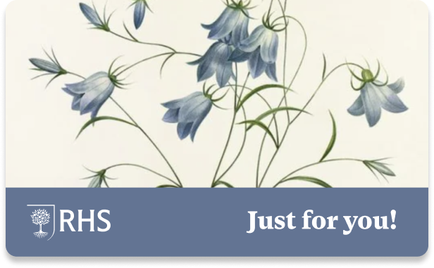 Just for you gift card